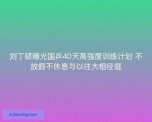 刘丁硕曝光国乒40天高强度训练计划 不放假不休息与以往大相径庭